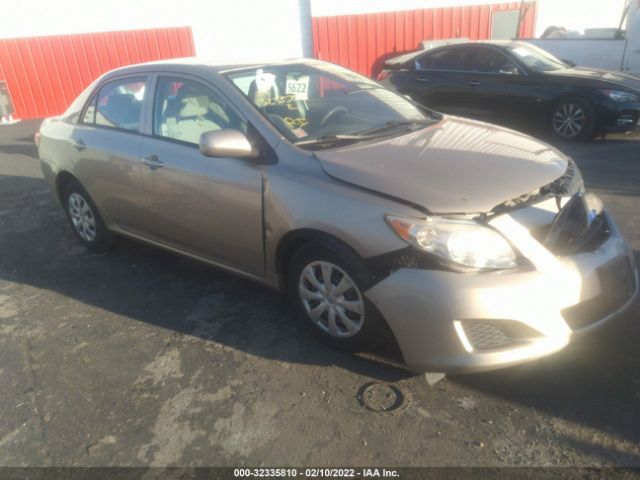 TOYOTA COROLLA 2010 2t1bu4ee3ac248162