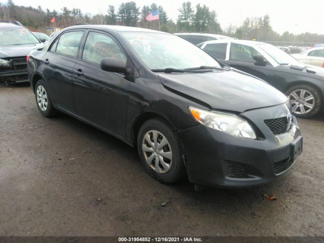 TOYOTA COROLLA 2010 2t1bu4ee3ac252776