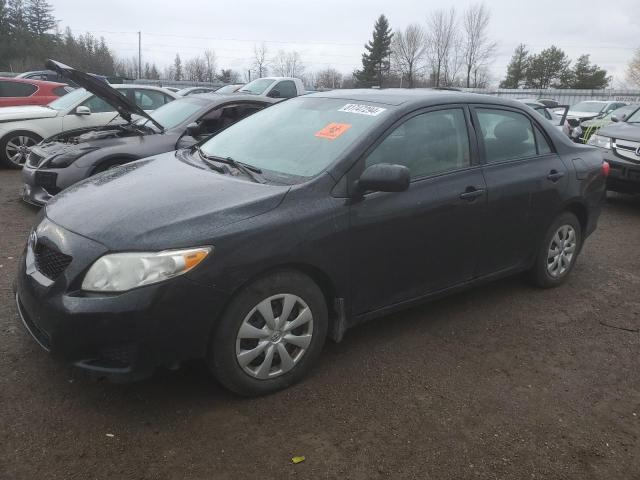 TOYOTA COROLLA BA 2010 2t1bu4ee3ac258061