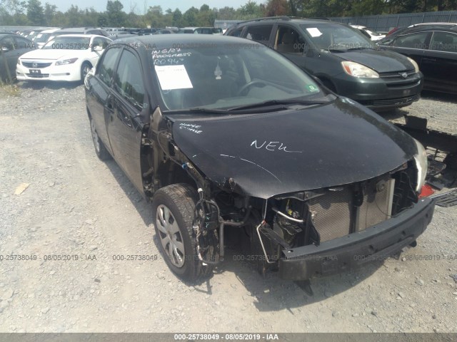 TOYOTA COROLLA 2010 2t1bu4ee3ac259436