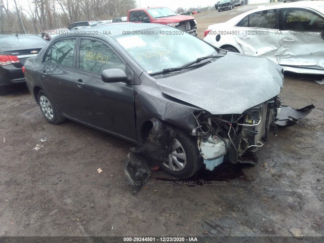 TOYOTA COROLLA 2010 2t1bu4ee3ac263292