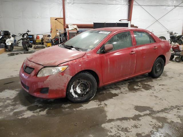 TOYOTA COROLLA BA 2010 2t1bu4ee3ac271442