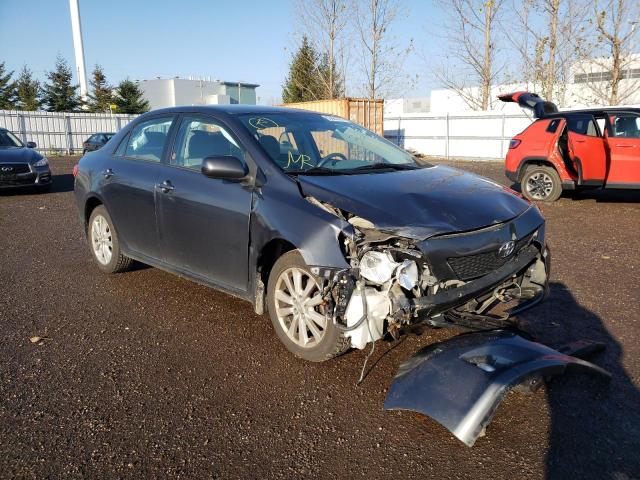 TOYOTA COROLLA BA 2010 2t1bu4ee3ac291755