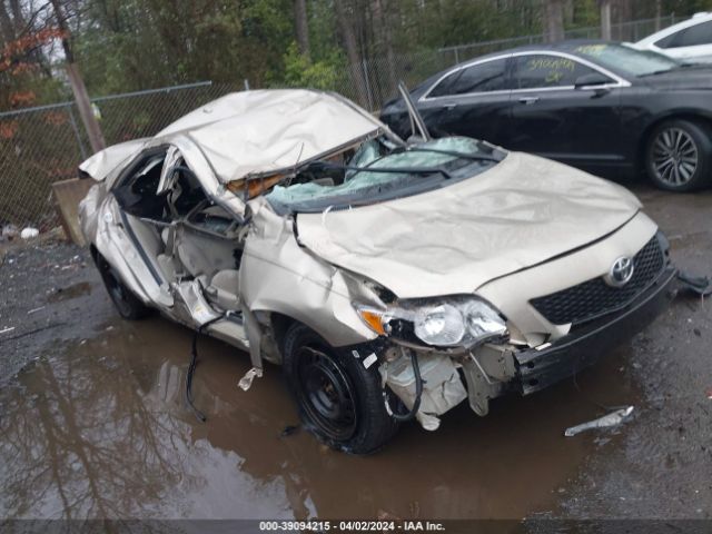 TOYOTA COROLLA 2010 2t1bu4ee3ac292128