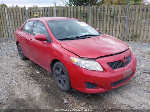 TOYOTA COROLLA 2010 2t1bu4ee3ac308411