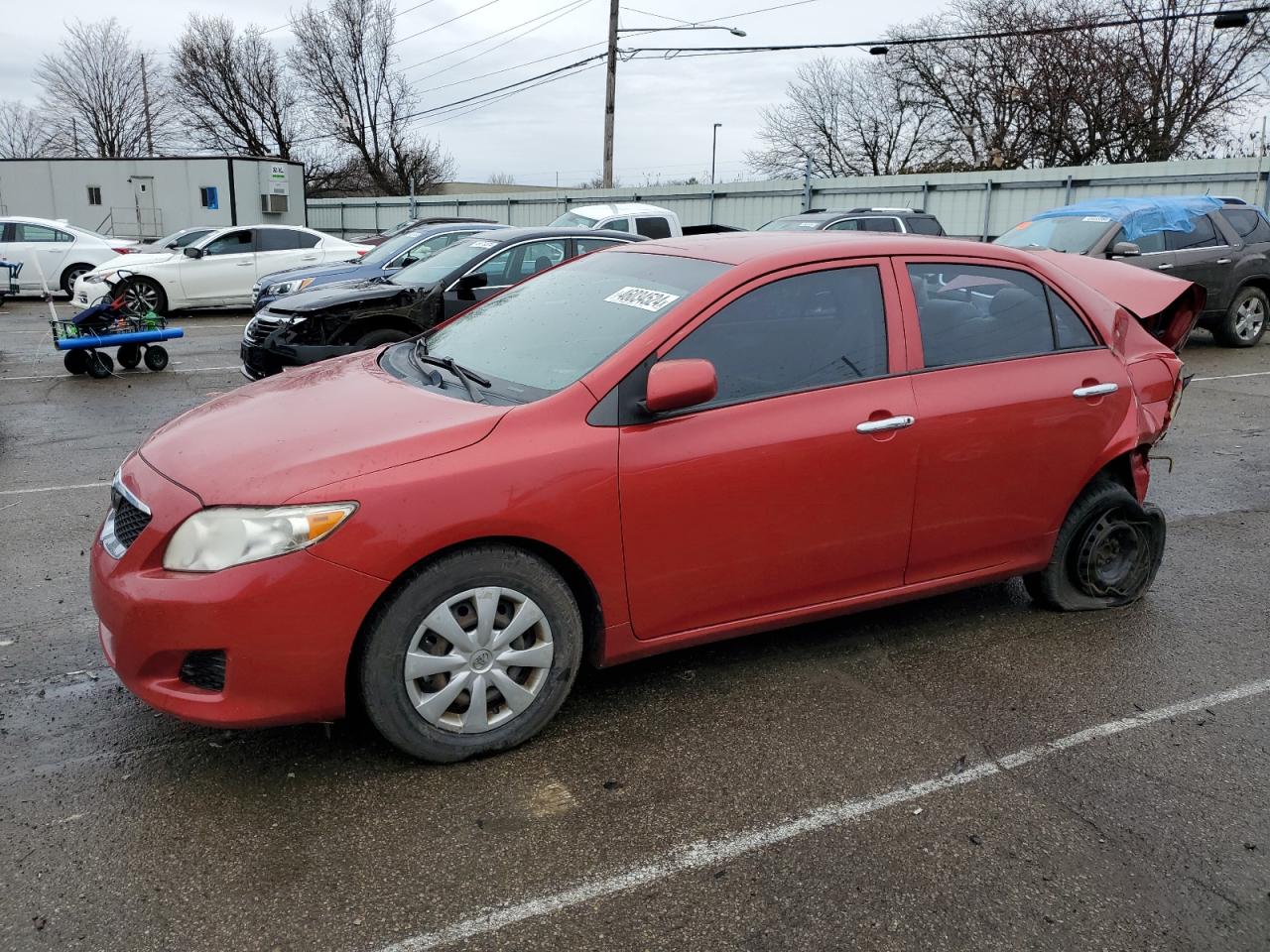 TOYOTA COROLLA 2010 2t1bu4ee3ac338265