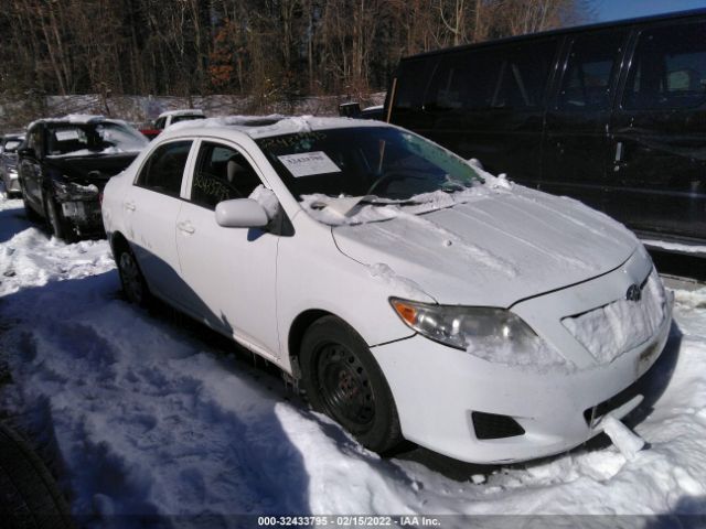 TOYOTA COROLLA 2010 2t1bu4ee3ac343921