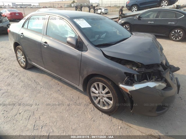 TOYOTA COROLLA 2010 2t1bu4ee3ac348469