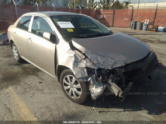 TOYOTA COROLLA 2010 2t1bu4ee3ac355048