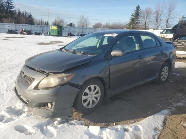 TOYOTA COROLLA 2010 2t1bu4ee3ac369516