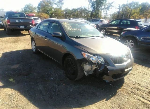 TOYOTA COROLLA 2010 2t1bu4ee3ac382492