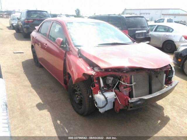 TOYOTA COROLLA 2010 2t1bu4ee3ac383223