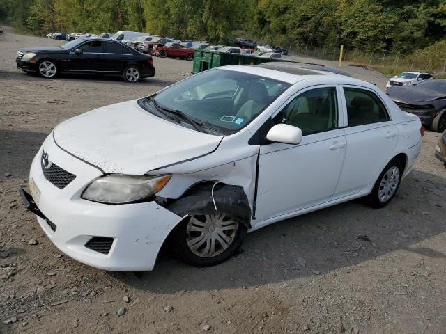 TOYOTA COROLLA BA 2010 2t1bu4ee3ac385246