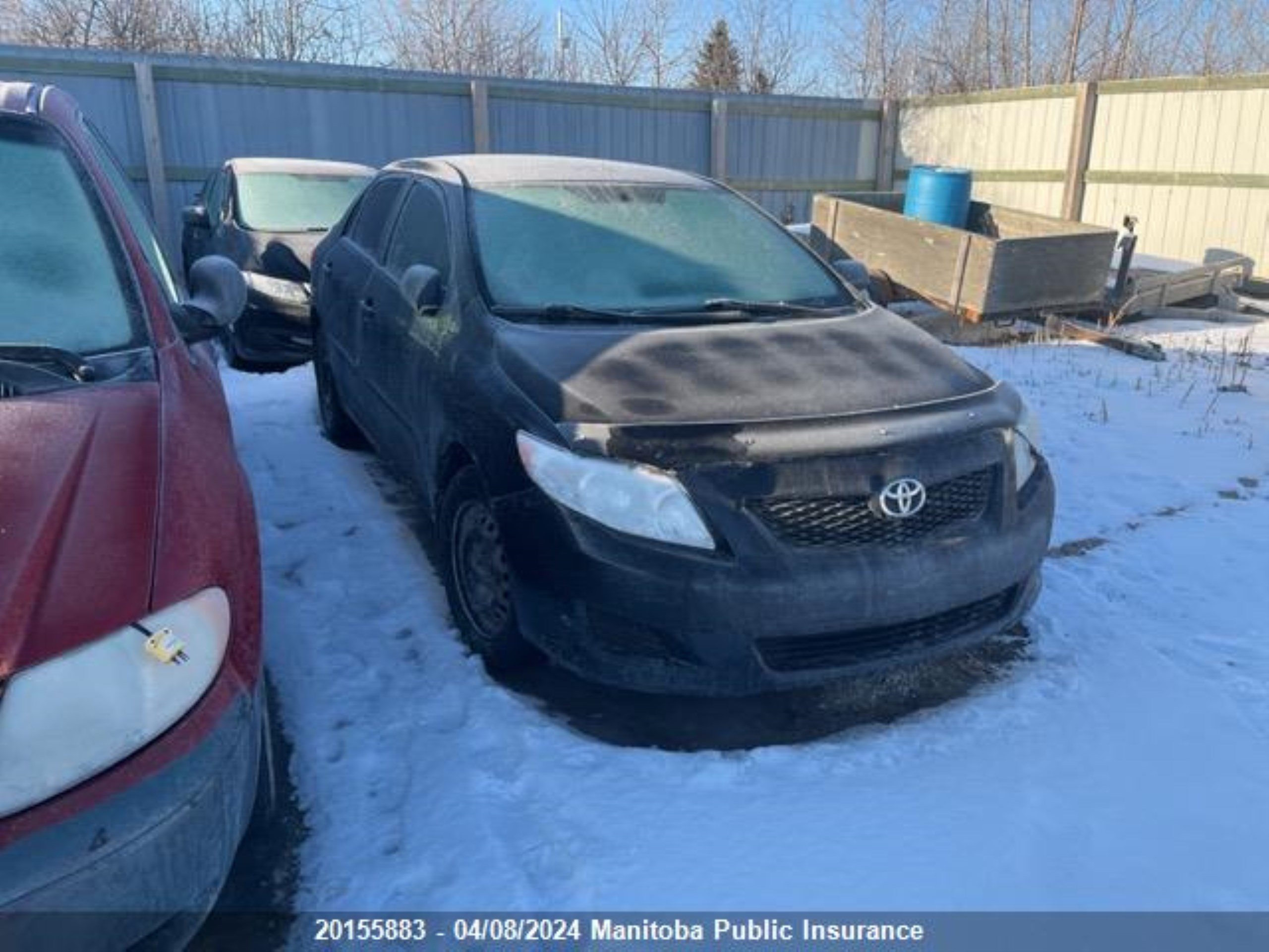 TOYOTA COROLLA 2010 2t1bu4ee3ac385909