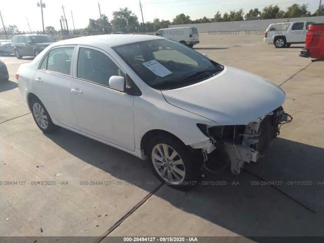 TOYOTA COROLLA 2010 2t1bu4ee3ac388941