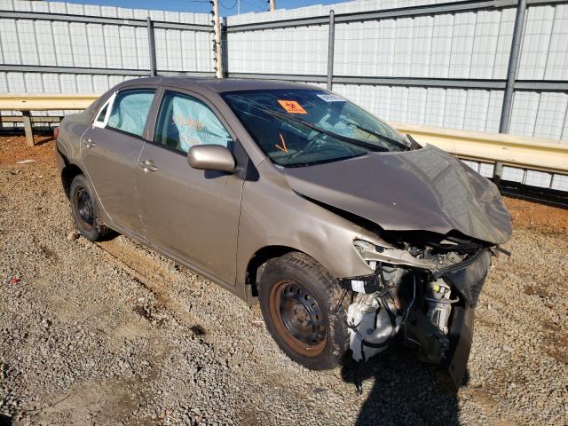 TOYOTA COROLLA LE 2010 2t1bu4ee3ac390611