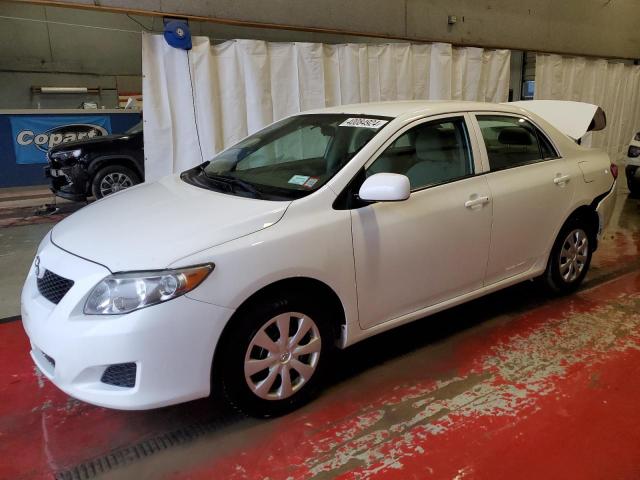 TOYOTA COROLLA 2010 2t1bu4ee3ac391631