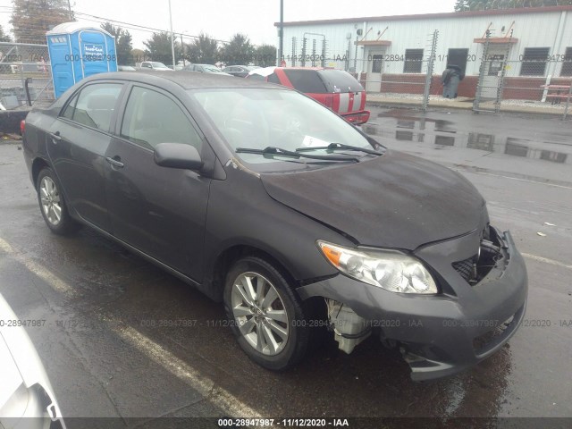 TOYOTA COROLLA 2010 2t1bu4ee3ac398241