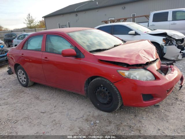 TOYOTA COROLLA 2010 2t1bu4ee3ac410212