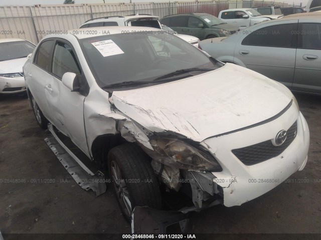 TOYOTA COROLLA 2010 2t1bu4ee3ac416821