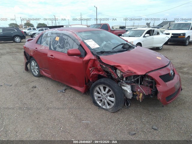 TOYOTA COROLLA 2010 2t1bu4ee3ac439855