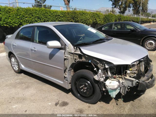 TOYOTA COROLLA 2010 2t1bu4ee3ac472774