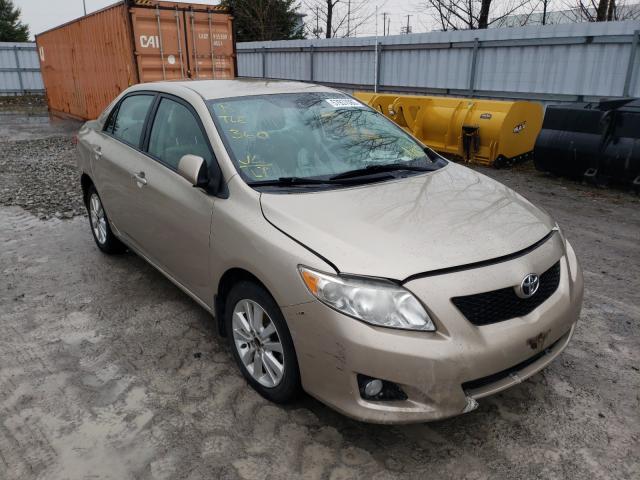 TOYOTA COROLLA BA 2010 2t1bu4ee3ac481992