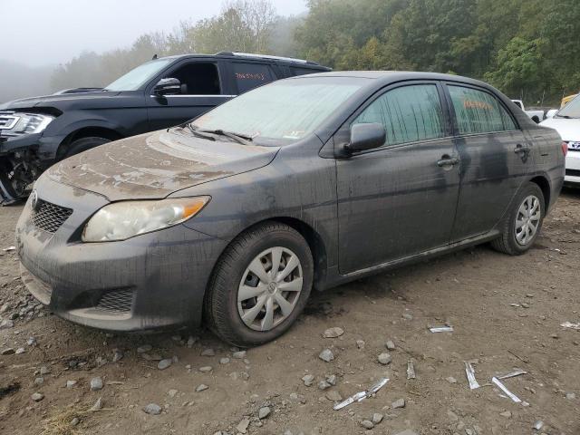 TOYOTA COROLLA 2010 2t1bu4ee3ac490479