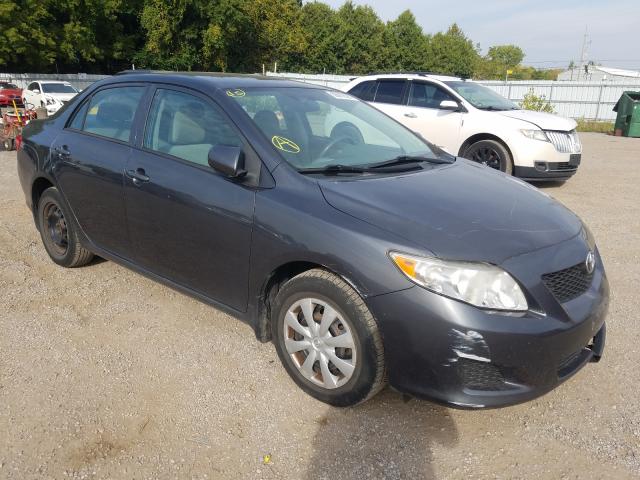 TOYOTA COROLLA BA 2010 2t1bu4ee3ac494032