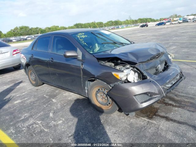 TOYOTA COROLLA 2010 2t1bu4ee3ac498629