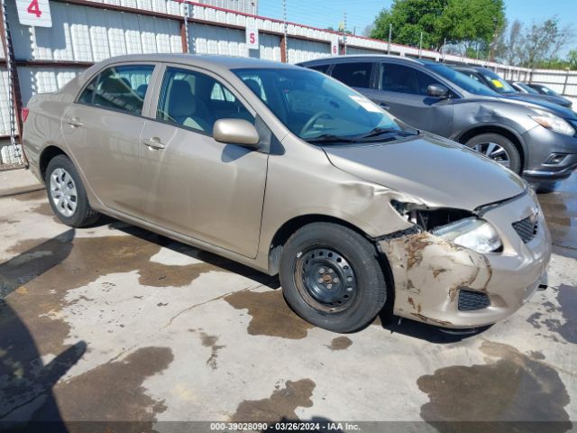 TOYOTA COROLLA 2010 2t1bu4ee3ac505076