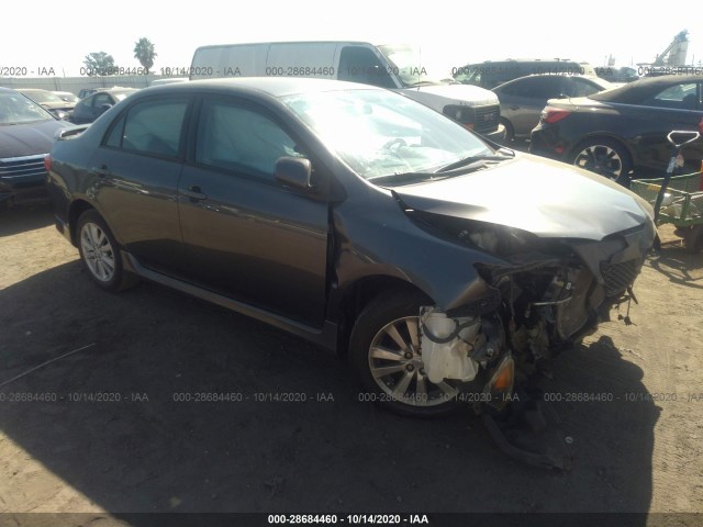 TOYOTA COROLLA 2010 2t1bu4ee3ac512111