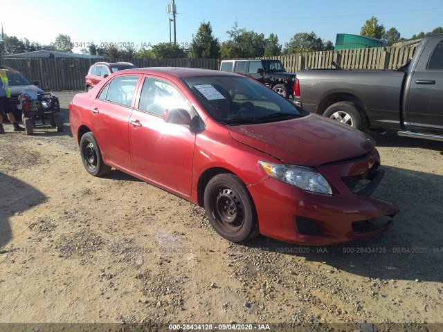 TOYOTA COROLLA 2010 2t1bu4ee3ac529684