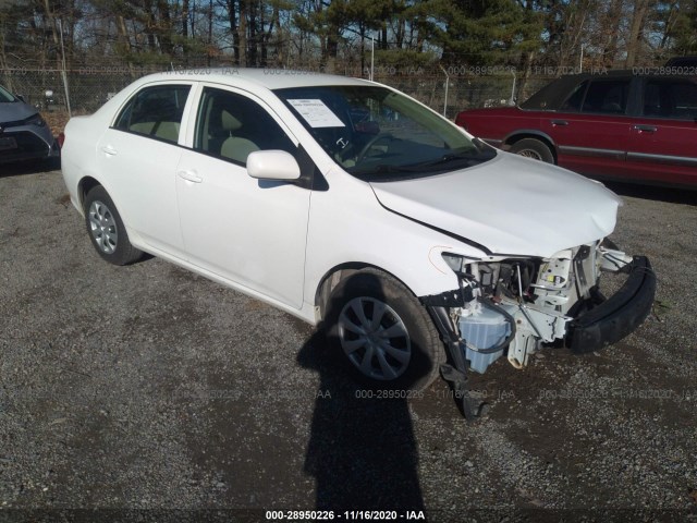 TOYOTA COROLLA 2010 2t1bu4ee3ac532410