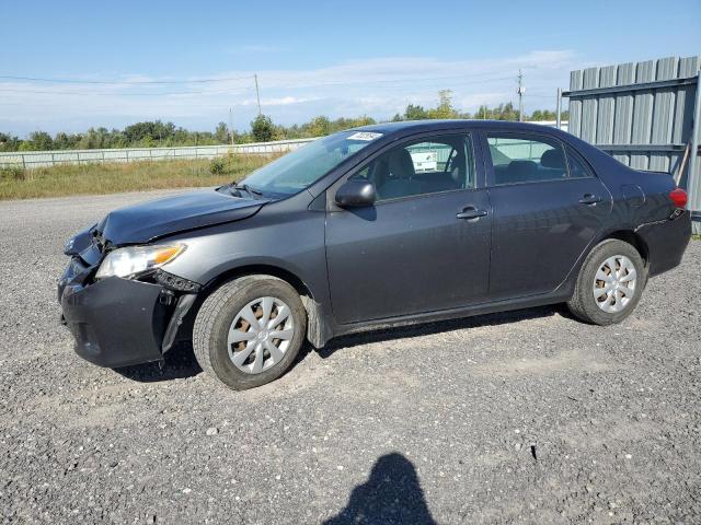 TOYOTA COROLLA BA 2011 2t1bu4ee3bc705599