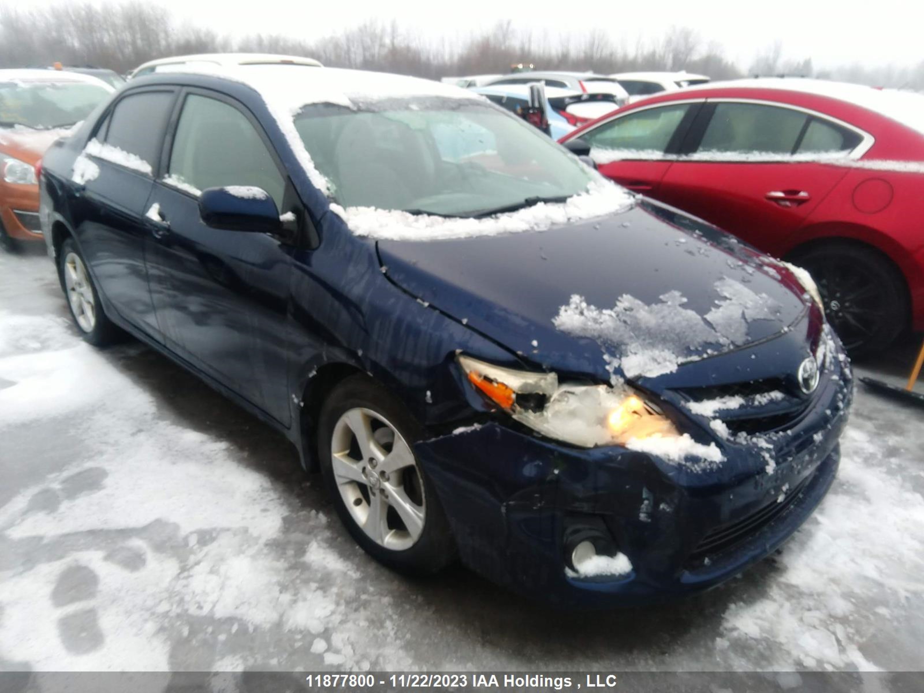 TOYOTA COROLLA 2011 2t1bu4ee3bc711273