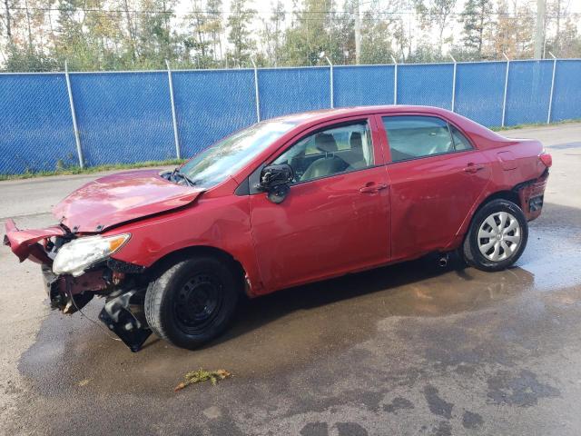 TOYOTA COROLLA 2010 2t1bu4ee4ac193575