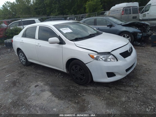 TOYOTA COROLLA 2010 2t1bu4ee4ac196444