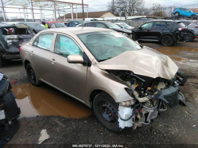 TOYOTA COROLLA 2010 2t1bu4ee4ac228437