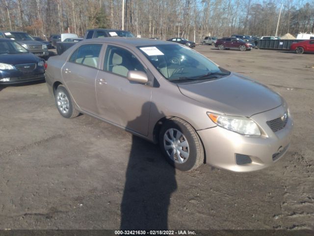 TOYOTA COROLLA 2010 2t1bu4ee4ac229703