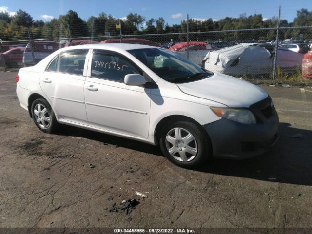 TOYOTA COROLLA 2010 2t1bu4ee4ac230799