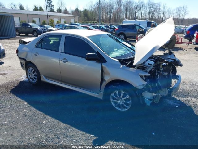 TOYOTA COROLLA 2010 2t1bu4ee4ac237204