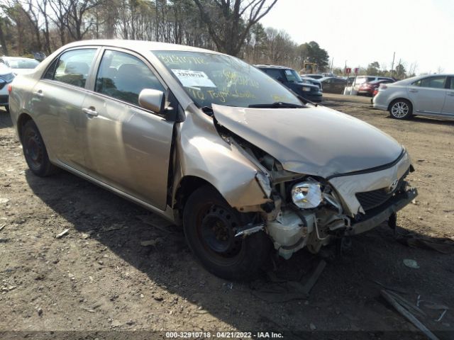 TOYOTA COROLLA 2010 2t1bu4ee4ac244153