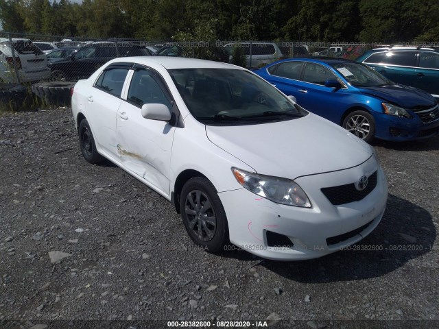 TOYOTA COROLLA 2010 2t1bu4ee4ac249501