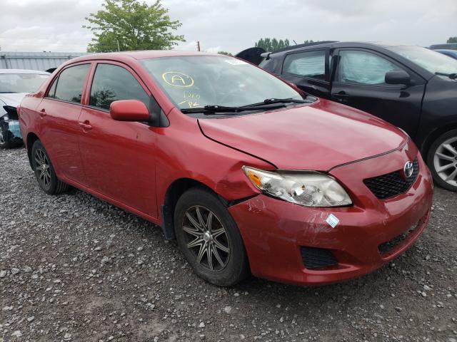 TOYOTA COROLLA BA 2010 2t1bu4ee4ac256108