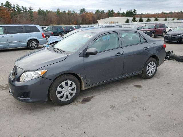 TOYOTA COROLLA BA 2010 2t1bu4ee4ac282661