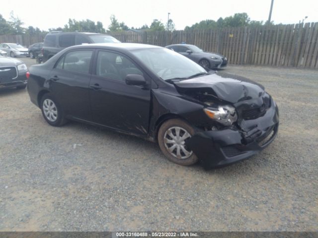 TOYOTA COROLLA 2010 2t1bu4ee4ac285639