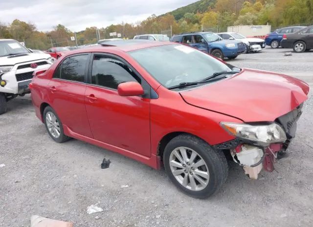 TOYOTA COROLLA 2010 2t1bu4ee4ac297077