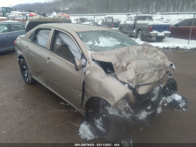 TOYOTA COROLLA 2010 2t1bu4ee4ac314122