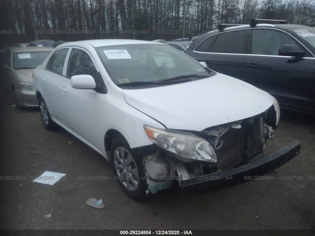 TOYOTA COROLLA 2010 2t1bu4ee4ac315500